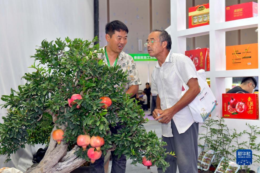 tsv天时娱乐